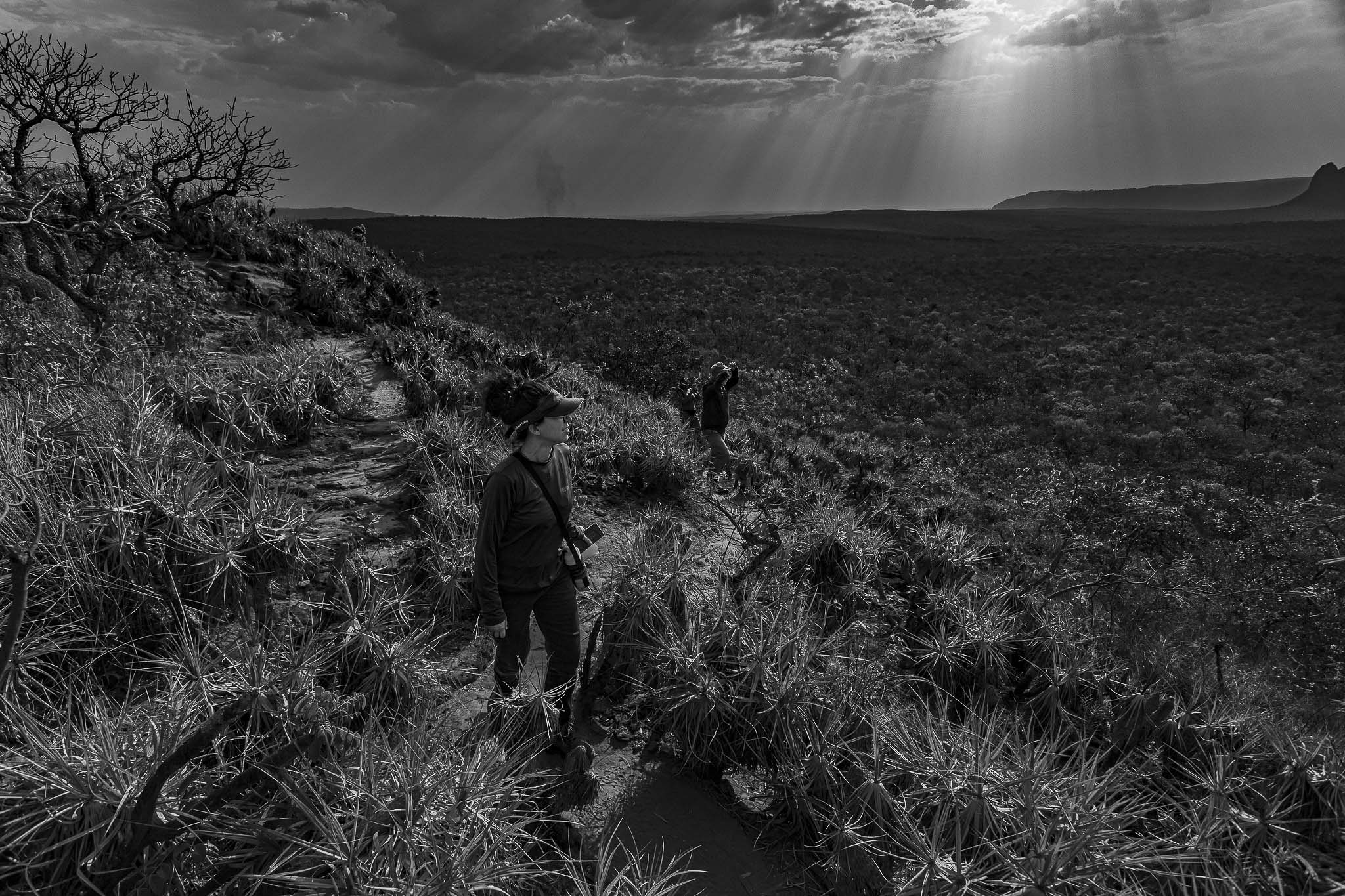 Imagem Expedição Chap Guim - ESEC Serra das Araras--22 da expedição de expedicoes/araras_25